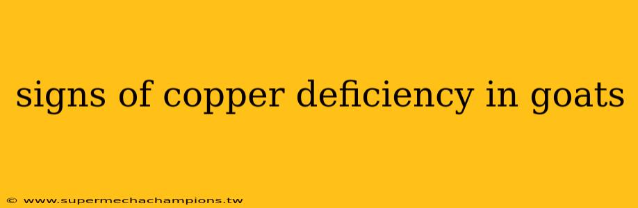 signs of copper deficiency in goats