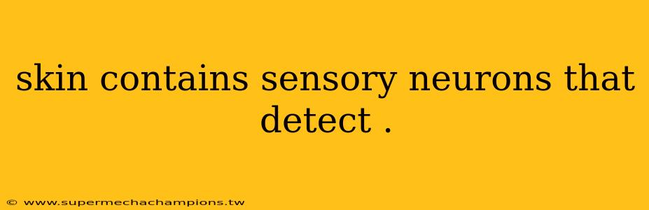 skin contains sensory neurons that detect .