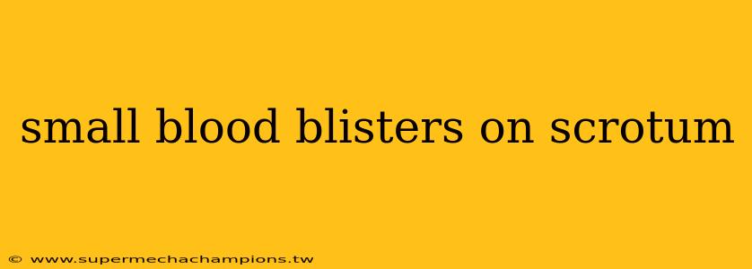 small blood blisters on scrotum