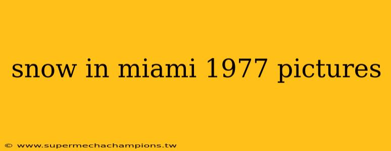 snow in miami 1977 pictures