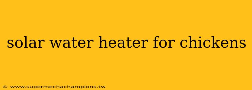 solar water heater for chickens