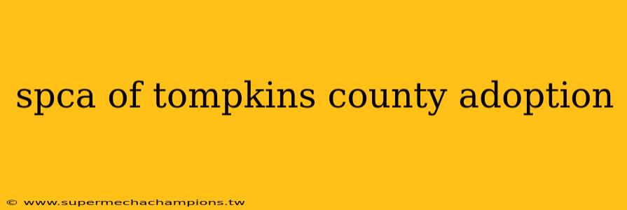 spca of tompkins county adoption