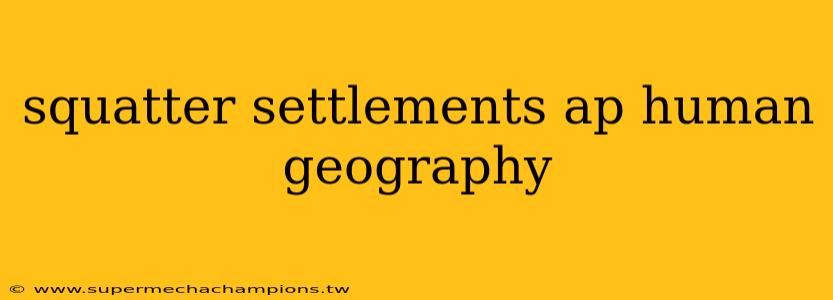 squatter settlements ap human geography