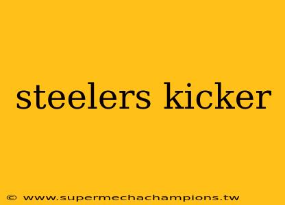 steelers kicker