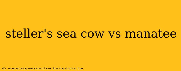 steller's sea cow vs manatee