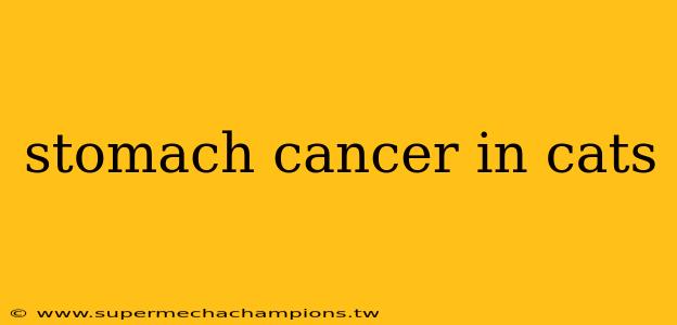 stomach cancer in cats