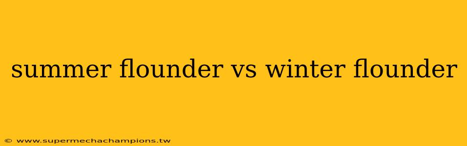 summer flounder vs winter flounder