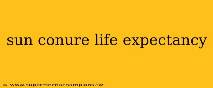 sun conure life expectancy