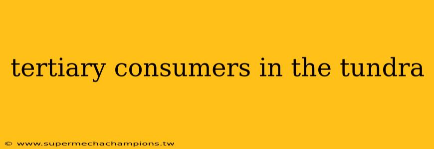 tertiary consumers in the tundra