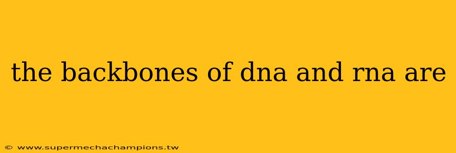 the backbones of dna and rna are