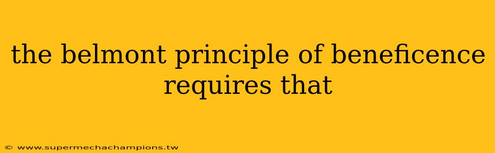the belmont principle of beneficence requires that