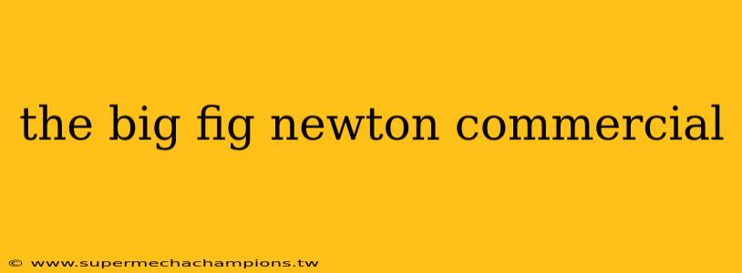 the big fig newton commercial