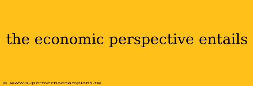 the economic perspective entails