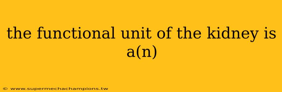 the functional unit of the kidney is a(n)