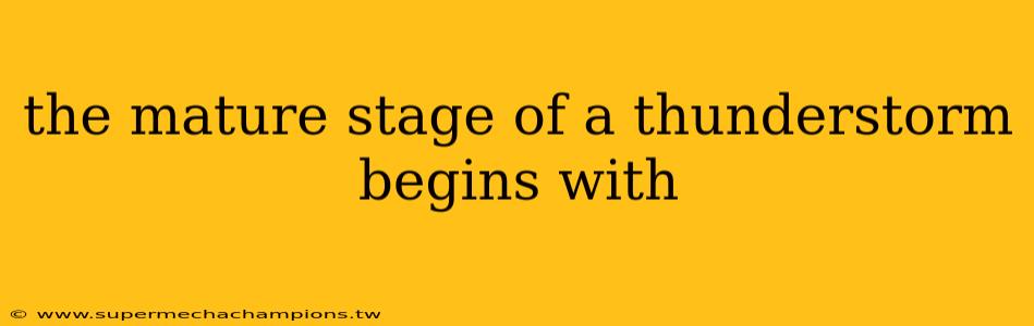 the mature stage of a thunderstorm begins with