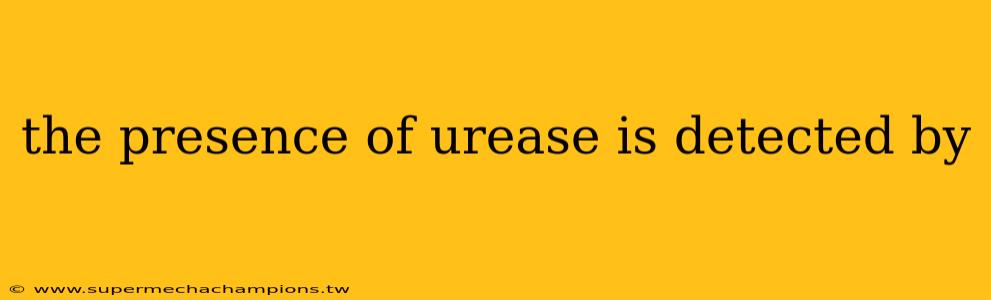 the presence of urease is detected by