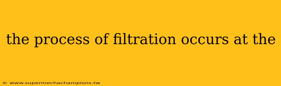the process of filtration occurs at the