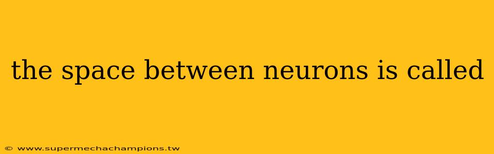 the space between neurons is called