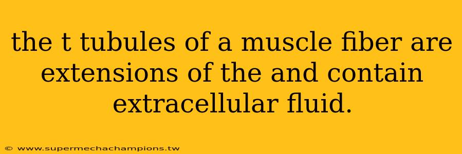 the t tubules of a muscle fiber are extensions of the and contain extracellular fluid.