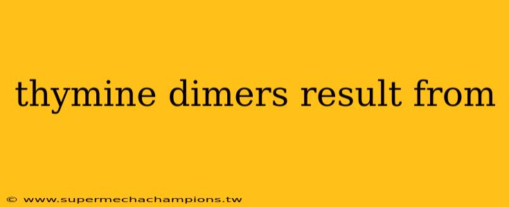 thymine dimers result from