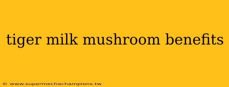 tiger milk mushroom benefits