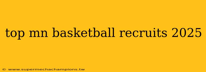 top mn basketball recruits 2025