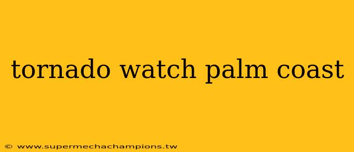tornado watch palm coast