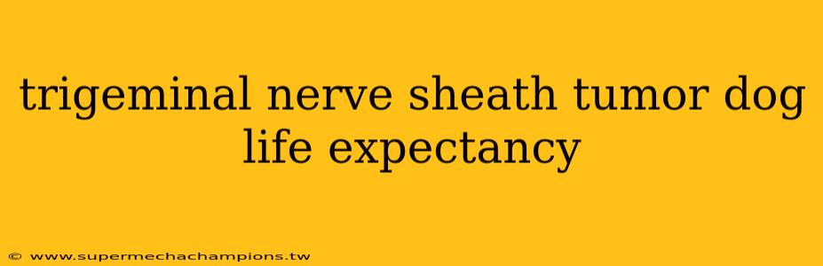 trigeminal nerve sheath tumor dog life expectancy