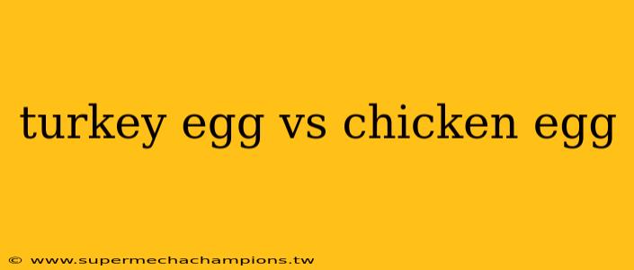 turkey egg vs chicken egg