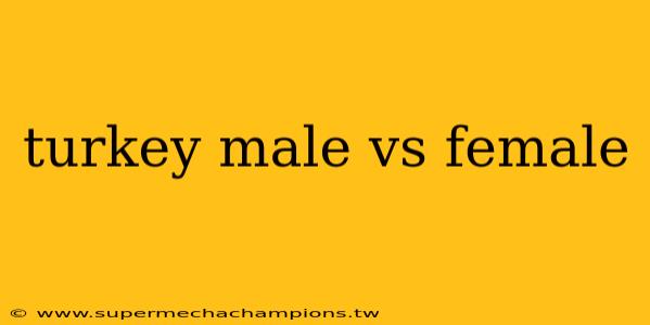 turkey male vs female