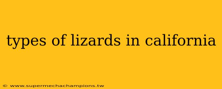 types of lizards in california