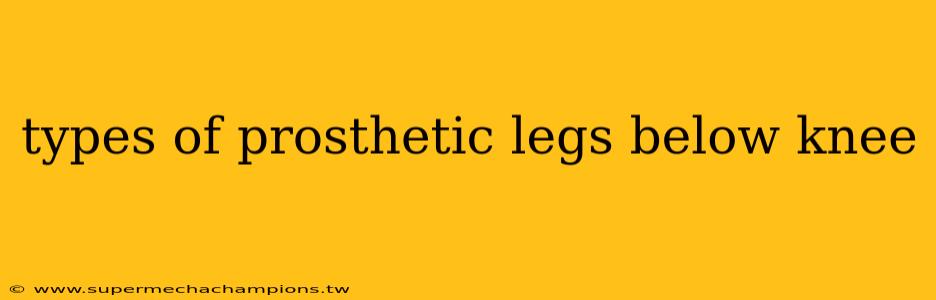 types of prosthetic legs below knee