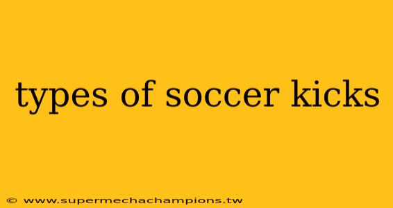 types of soccer kicks
