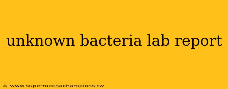 unknown bacteria lab report