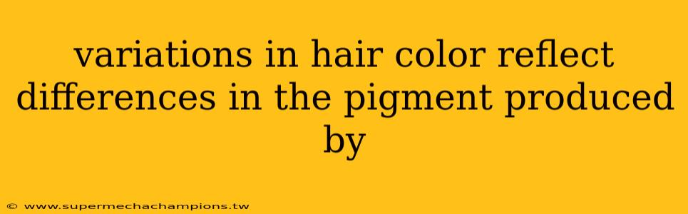 variations in hair color reflect differences in the pigment produced by