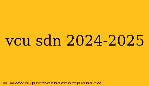 vcu sdn 2024-2025