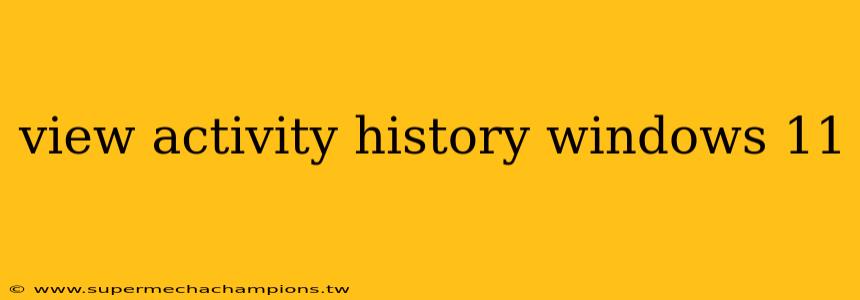 view activity history windows 11