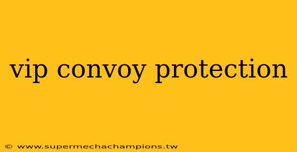 vip convoy protection