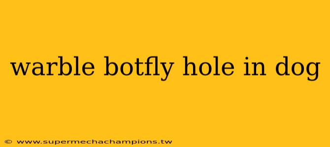 warble botfly hole in dog
