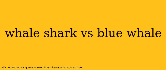whale shark vs blue whale