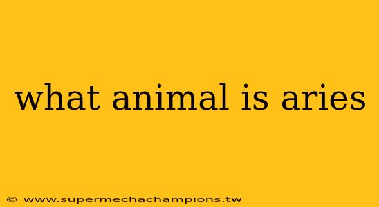 what animal is aries