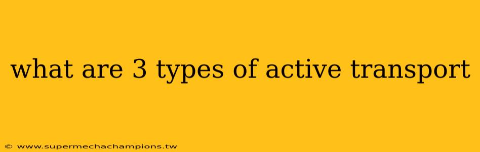 what are 3 types of active transport