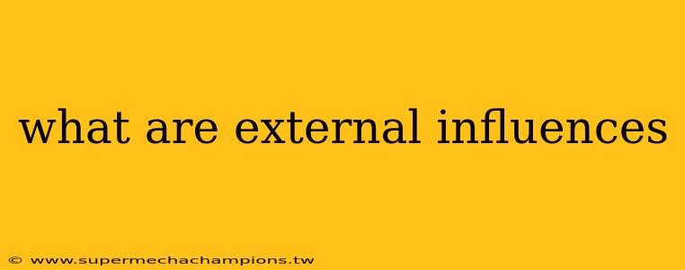 what are external influences