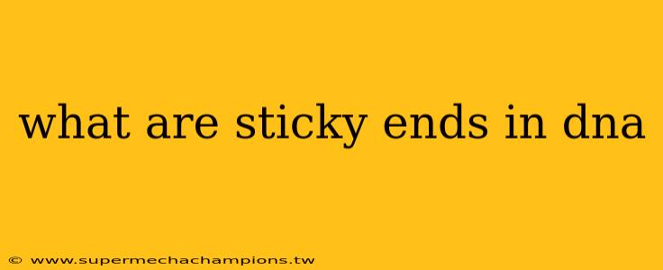 what are sticky ends in dna