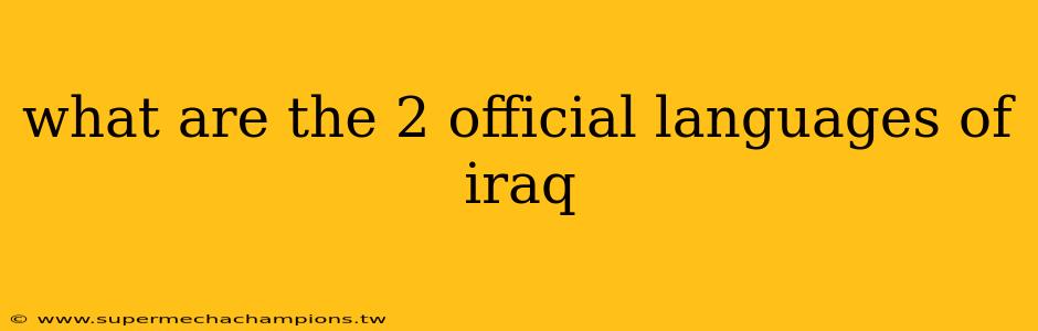 what are the 2 official languages of iraq
