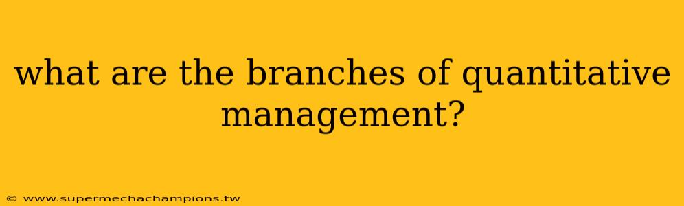 what are the branches of quantitative management?