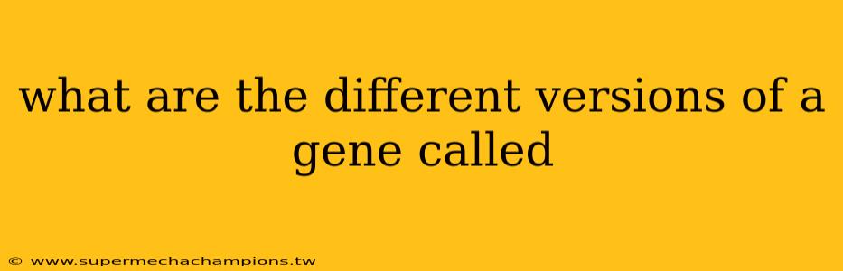 what are the different versions of a gene called