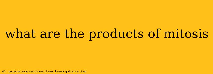 what are the products of mitosis