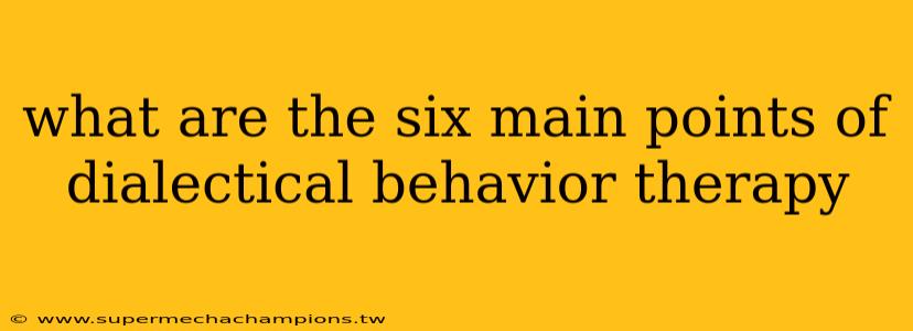 what are the six main points of dialectical behavior therapy