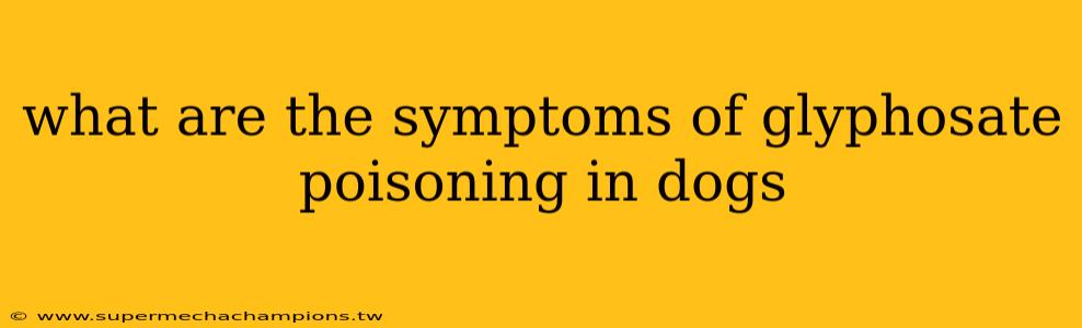 what are the symptoms of glyphosate poisoning in dogs